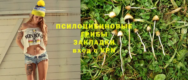 дживик Няндома