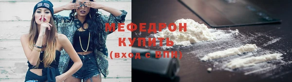 дживик Няндома