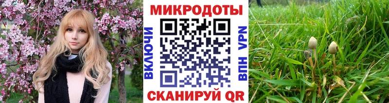закладки  Эртиль  Галлюциногенные грибы Cubensis 
